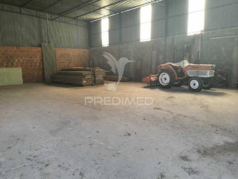 Quinta de 6.000m2 em brejos de azeitão