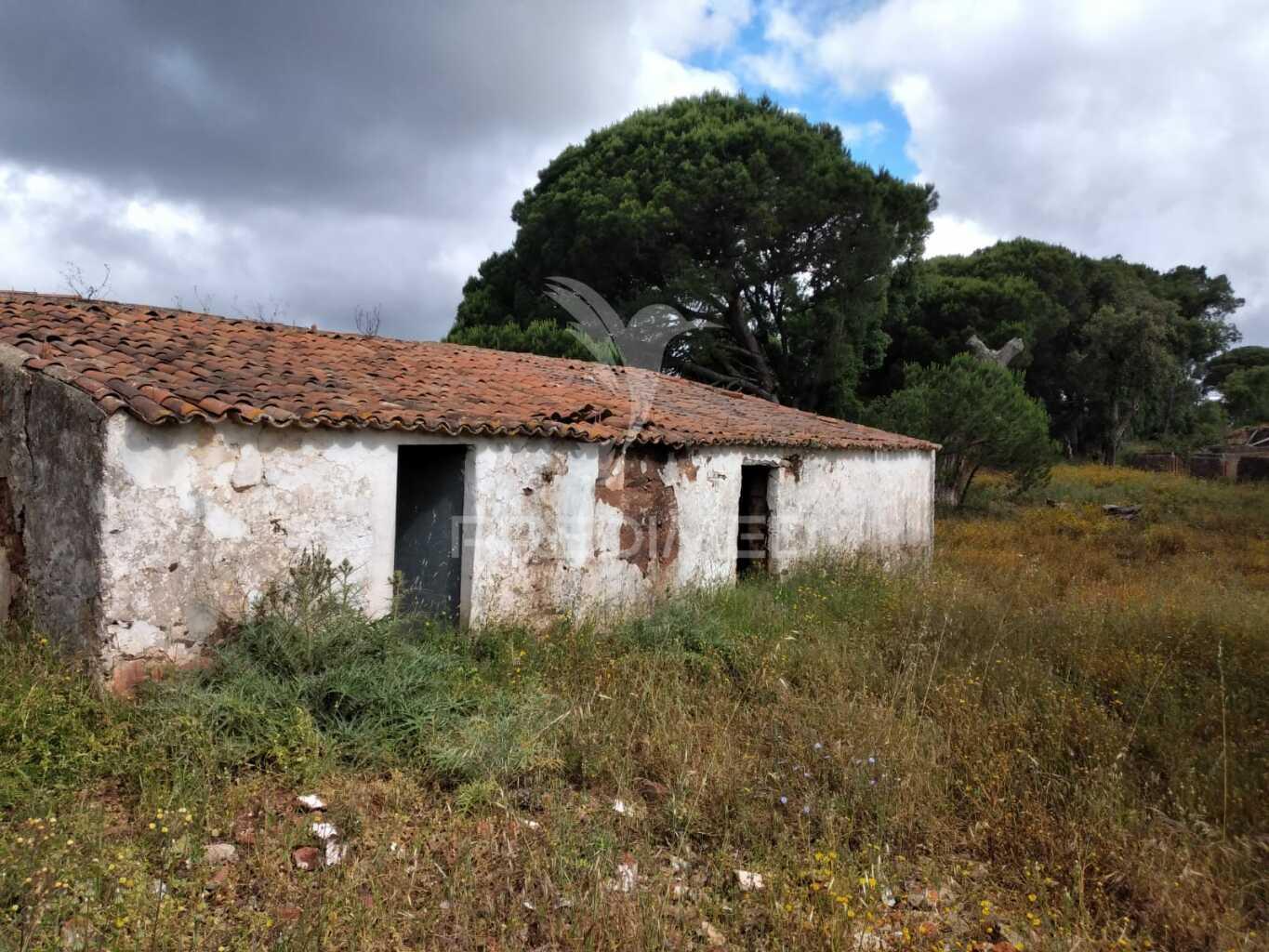 Monte alentejano, situado no lugar da "vigia"
