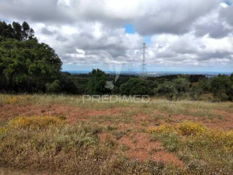 Monte alentejano, situado no lugar da "vigia"