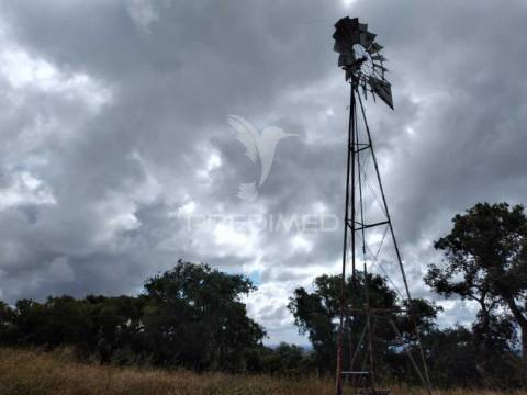 Monte alentejano, situado no lugar da "vigia"
