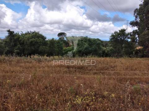 Monte alentejano, situado no lugar da "vigia"