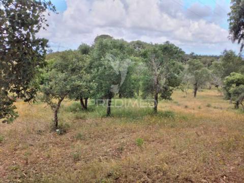 Monte alentejano, situado no lugar da "vigia"