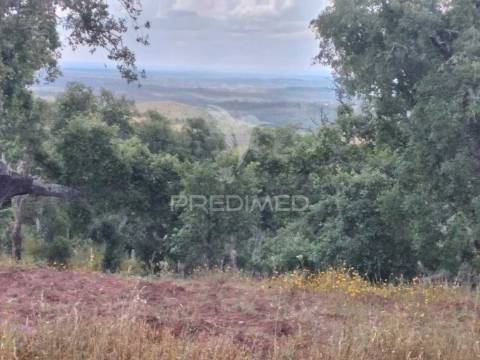 Monte alentejano, situado no lugar da "vigia"