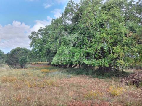 Monte alentejano, situado no lugar da "vigia"