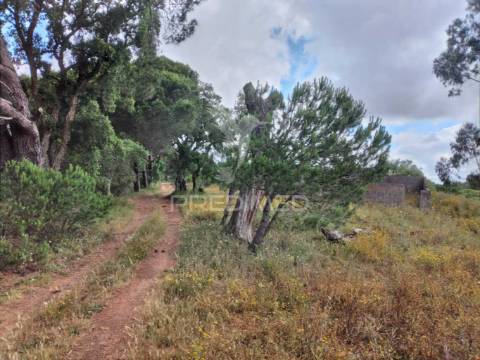 Monte alentejano, situado no lugar da "vigia"