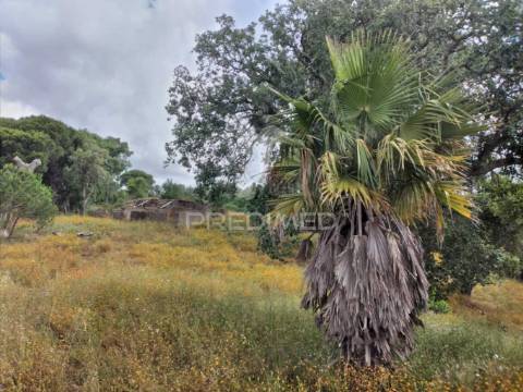 Monte alentejano, situado no lugar da "vigia"