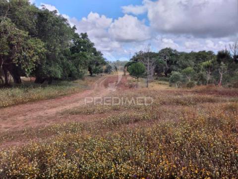 Monte alentejano, situado no lugar da "vigia"