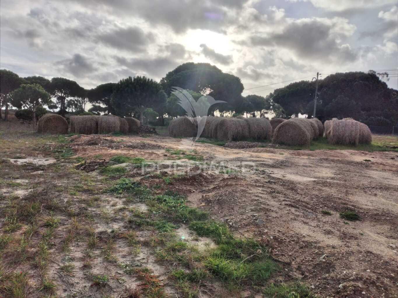 Terreno rustico de 33.145m2 em melides