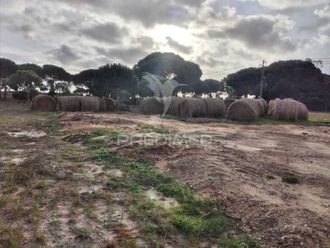 Terreno rustico de 33.145m2 em melides