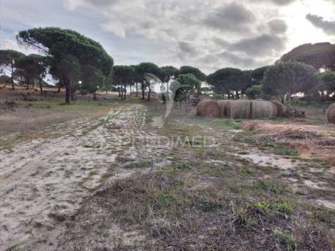 Terreno rustico de 33.145m2 em melides