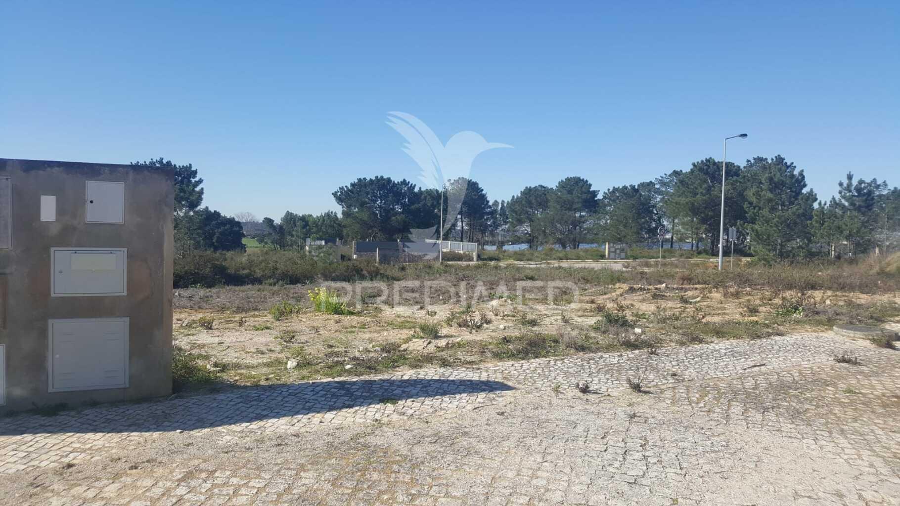 Terreno na bela vista, quinta do anjo