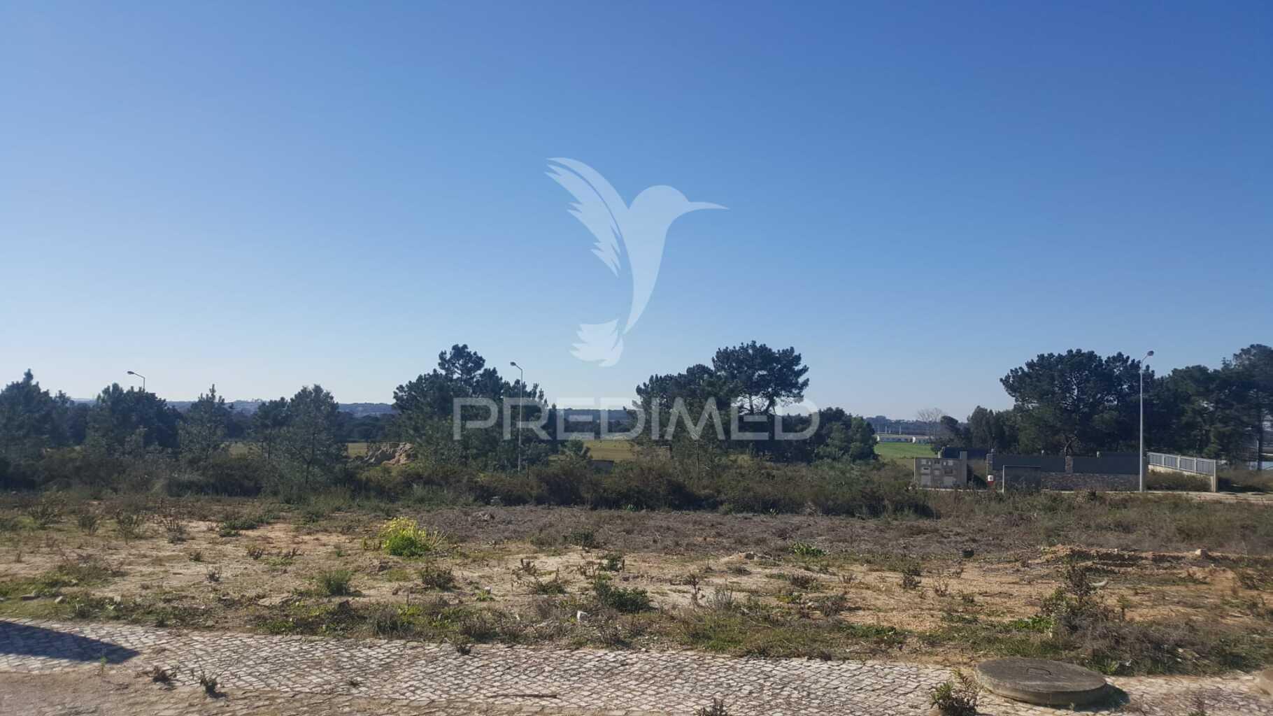 Terreno na bela vista, quinta do anjo