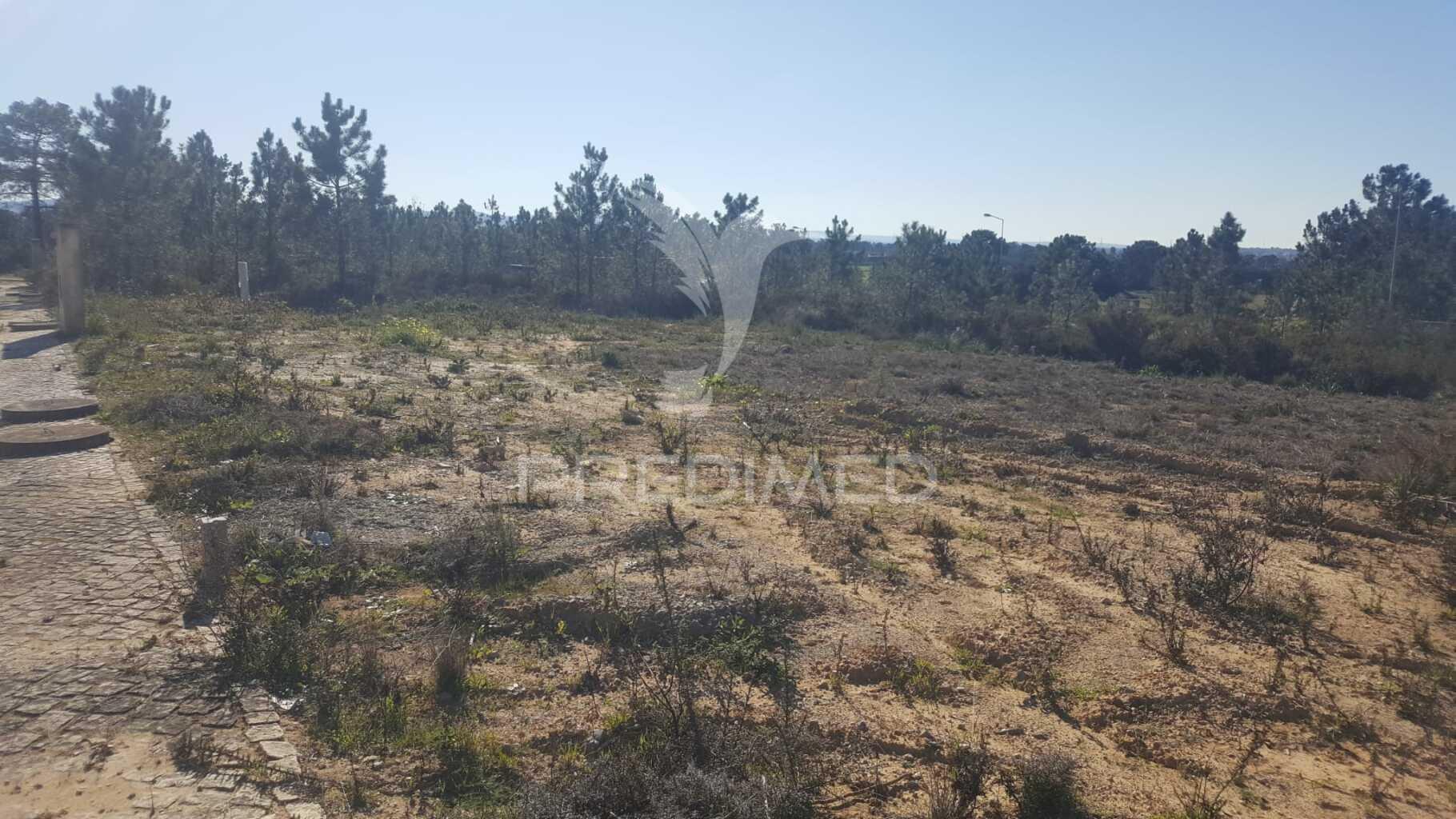 Terreno na bela vista, quinta do anjo
