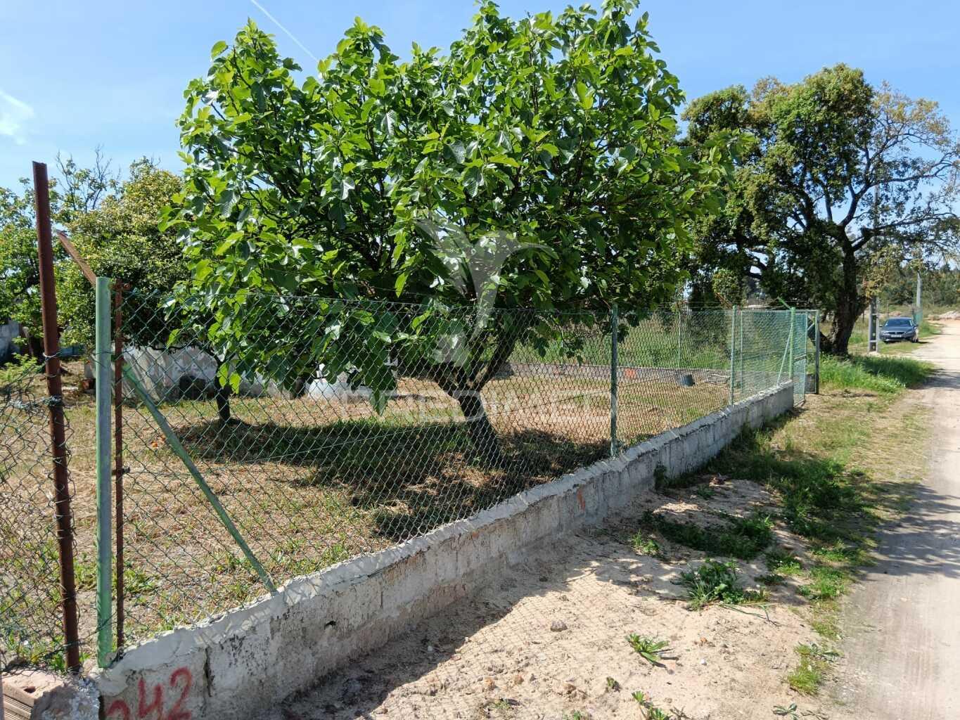 Terreno de 350m2 na herdade pinhal das formas