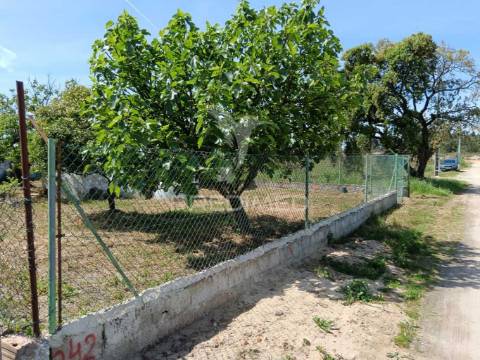 Terreno de 350m2 na herdade pinhal das formas