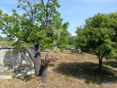 Terreno de 350m2 na herdade pinhal das formas