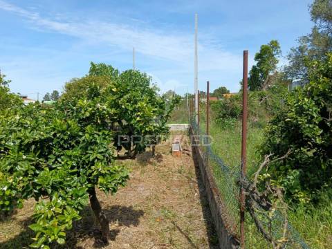 Terreno de 350m2 na herdade pinhal das formas