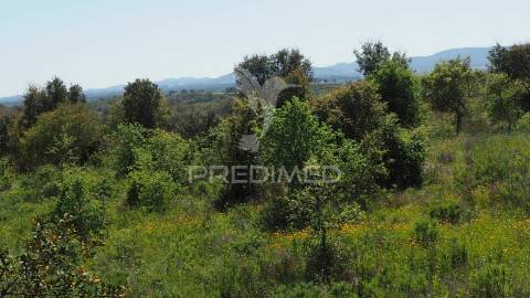 Terreno fonte nova -cercal – santiago do cacém