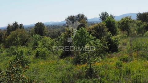 Terreno fonte nova -cercal – santiago do cacém
