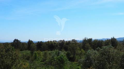 Terreno fonte nova -cercal – santiago do cacém