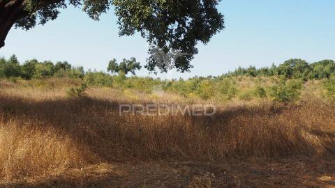 Terreno fonte nova -cercal – santiago do cacém