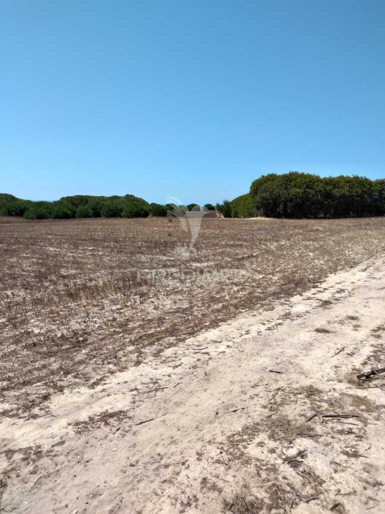 Terreno rústico de 7.200m2 em porto corvo