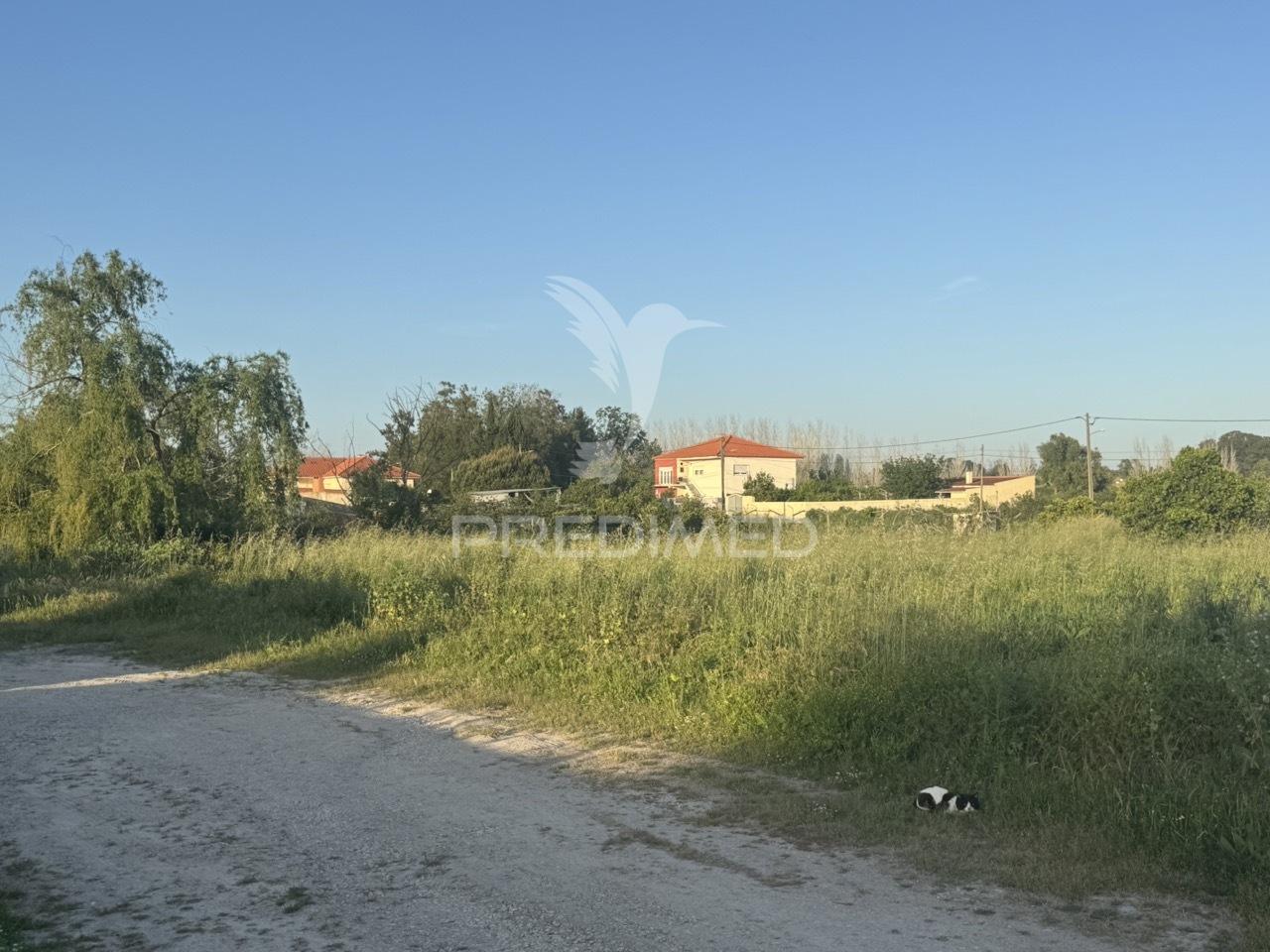 Terreno urbano de 1.460m2 na brejoeira, moita