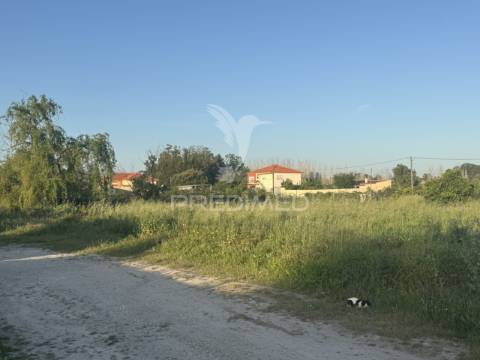 Terreno urbano de 1.460m2 na brejoeira, moita