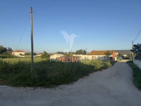 Terreno urbano de 1.460m2 na brejoeira, moita
