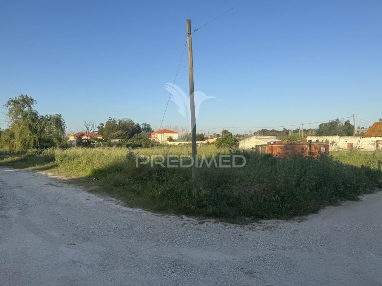 Terreno urbano de 1.460m2 na brejoeira, moita