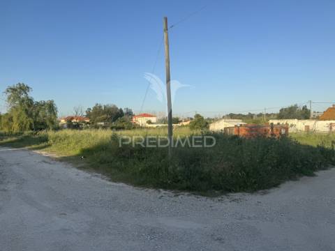 Terreno urbano de 1.460m2 na brejoeira, moita