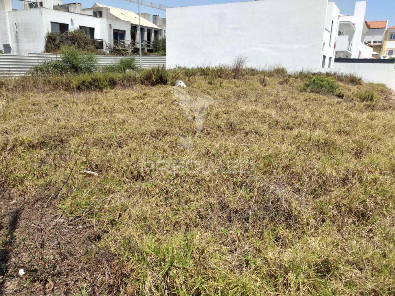 Terreno urbano em porto corvo