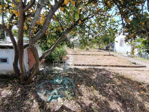 Terreno de 350m2na herdade pinhal das formas