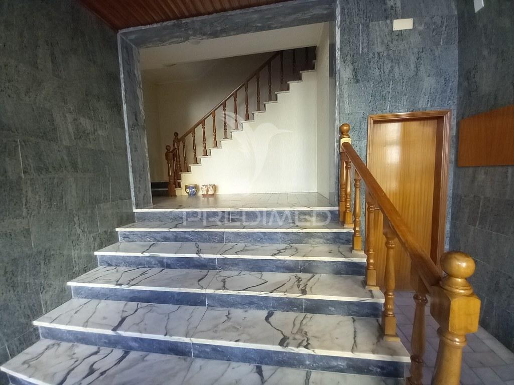 T3 fogueteiro amora