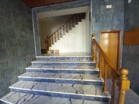 T3 fogueteiro amora