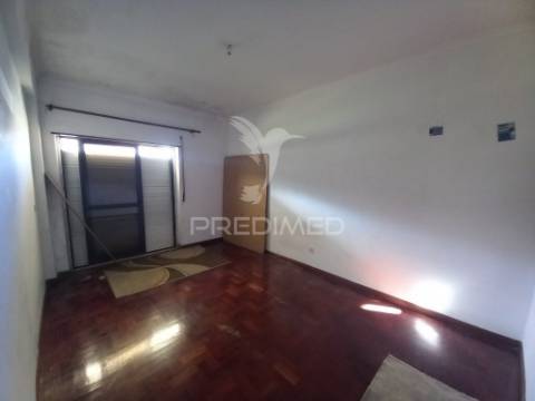 T3 fogueteiro amora