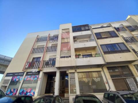 T3 fogueteiro amora