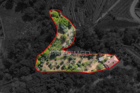 Moradia t3 com quintinha - vilela, amares