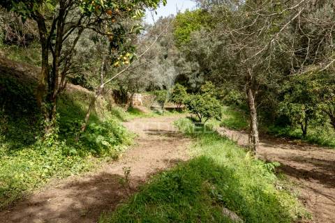 Moradia t3 com quintinha - vilela, amares