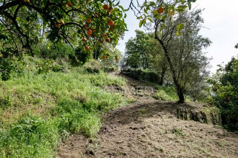 Moradia t3 com quintinha - vilela, amares