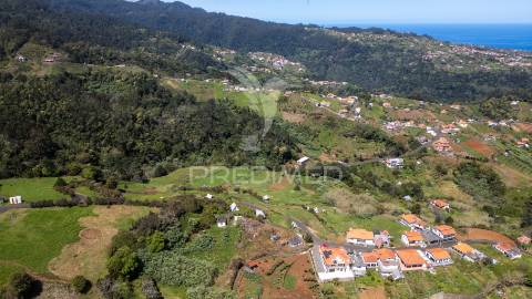 Terreno misto com casa antiga  - santana - madeira