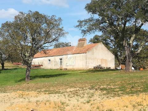 Monte no litoral alentejano com casa para recuperar