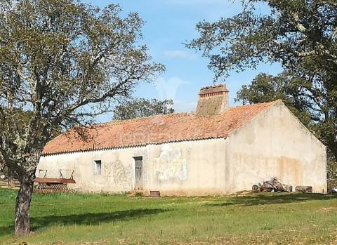 Monte no litoral alentejano com casa para recuperar
