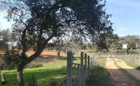 Monte no litoral alentejano com casa para recuperar
