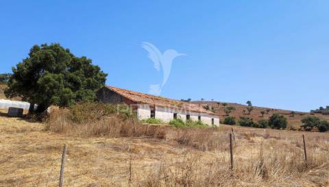 Herdade com 36,9000 ha a 3 km do pego das pias