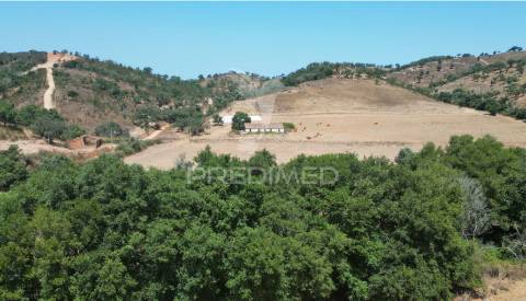 Herdade com 36,9000 ha a 3 km do pego das pias