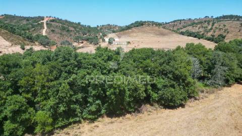 Herdade com 36,9000 ha a 3 km do pego das pias