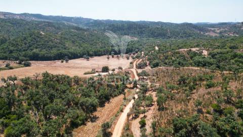 Herdade com 36,9000 ha a 3 km do pego das pias