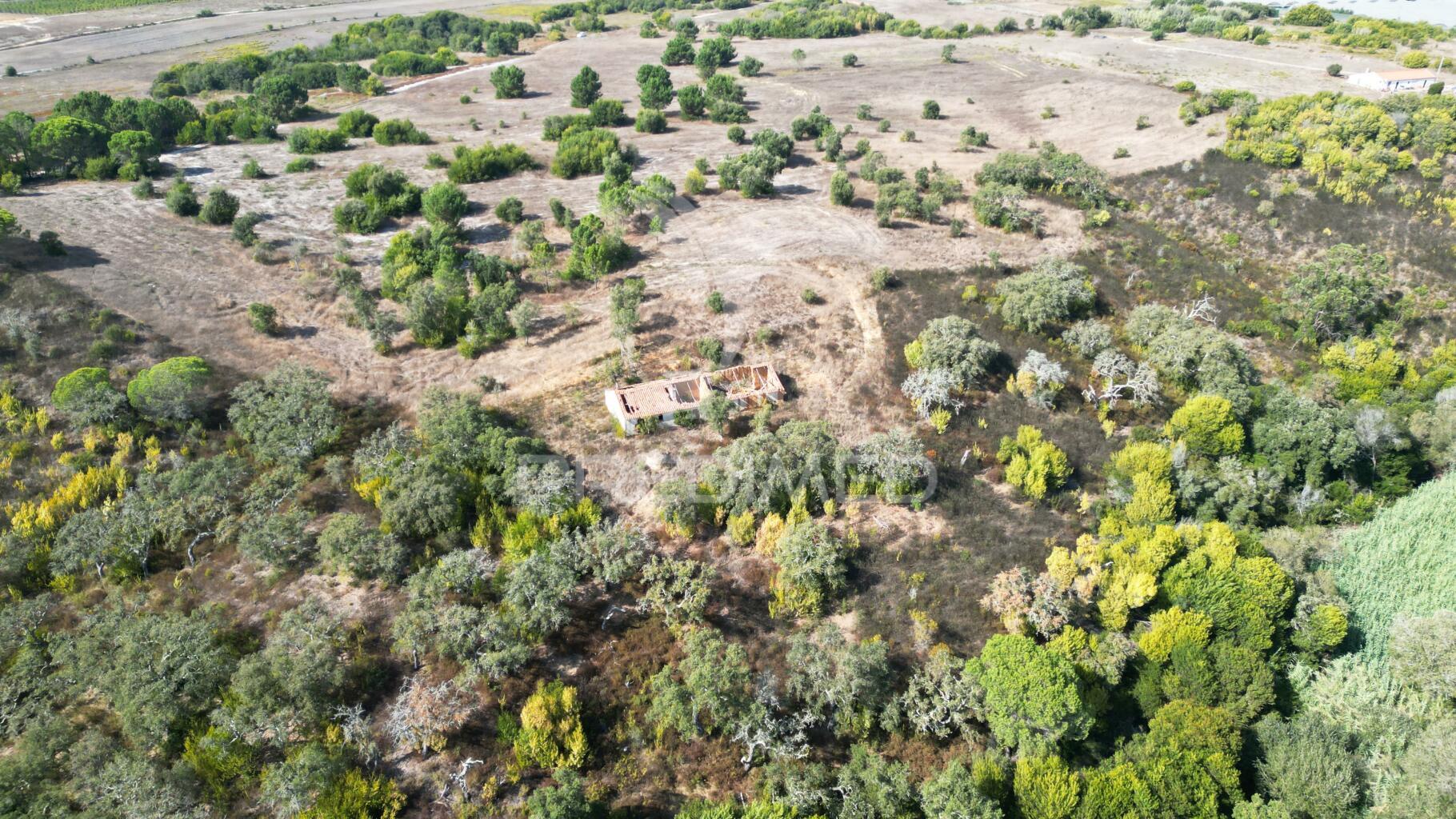 Quinta com 9,5650 ha em zambujeira do mar