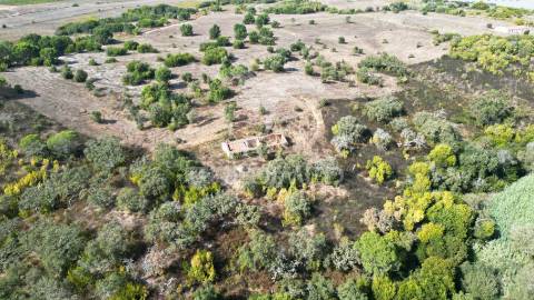 Quinta com 9,5650 ha em zambujeira do mar